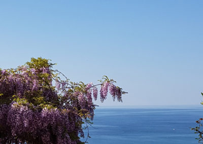 Garten mit Meerblick