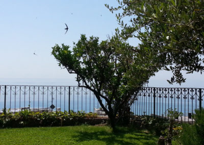 Garden with sea view